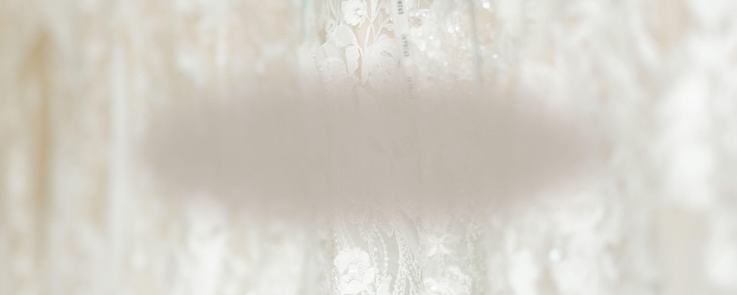 Photo of The White Collection Bridal